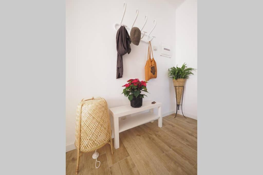 Apartaments Sa Calm Sant Miquel De Les Formigues Sant Hilari Sacalm Exterior foto